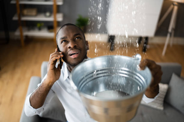 Best Professional water damage repair  in Lee Acres, NM