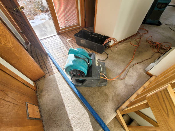 Best Water damage restoration mold remediation  in Lee Acres, NM
