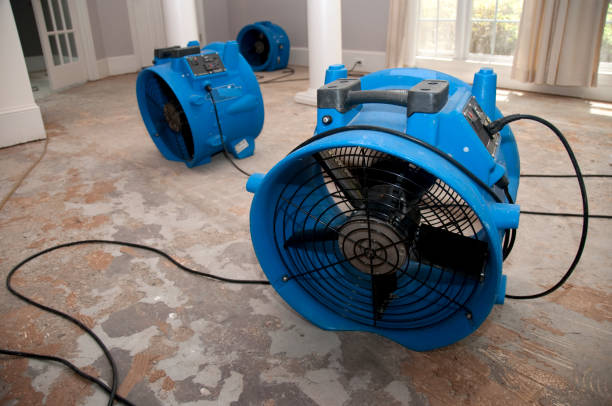 Best Commercial water damage restoration  in Lee Acres, NM